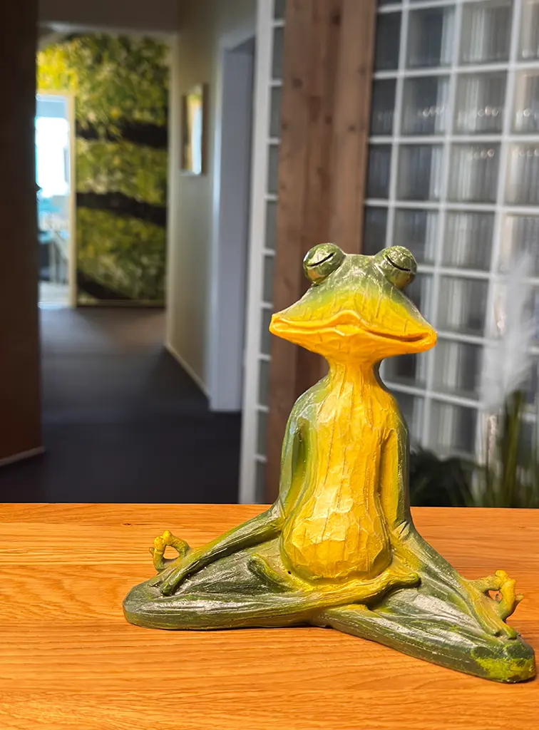 Meditierender Frosch